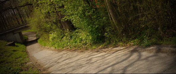 Bärlauchige Fototour