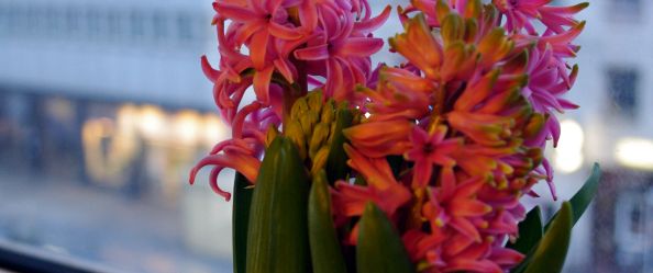 time-laps // shot&nbsp;01