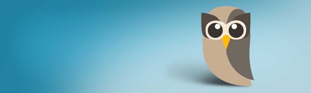 Social Networking mit&nbsp;HootSuite