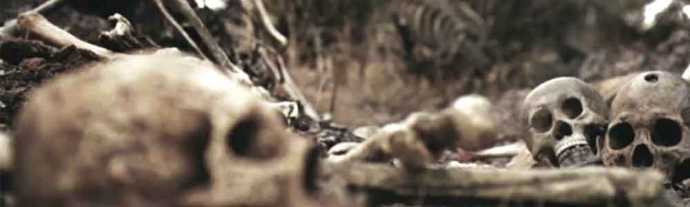 Dry Bones [KW42/2011]