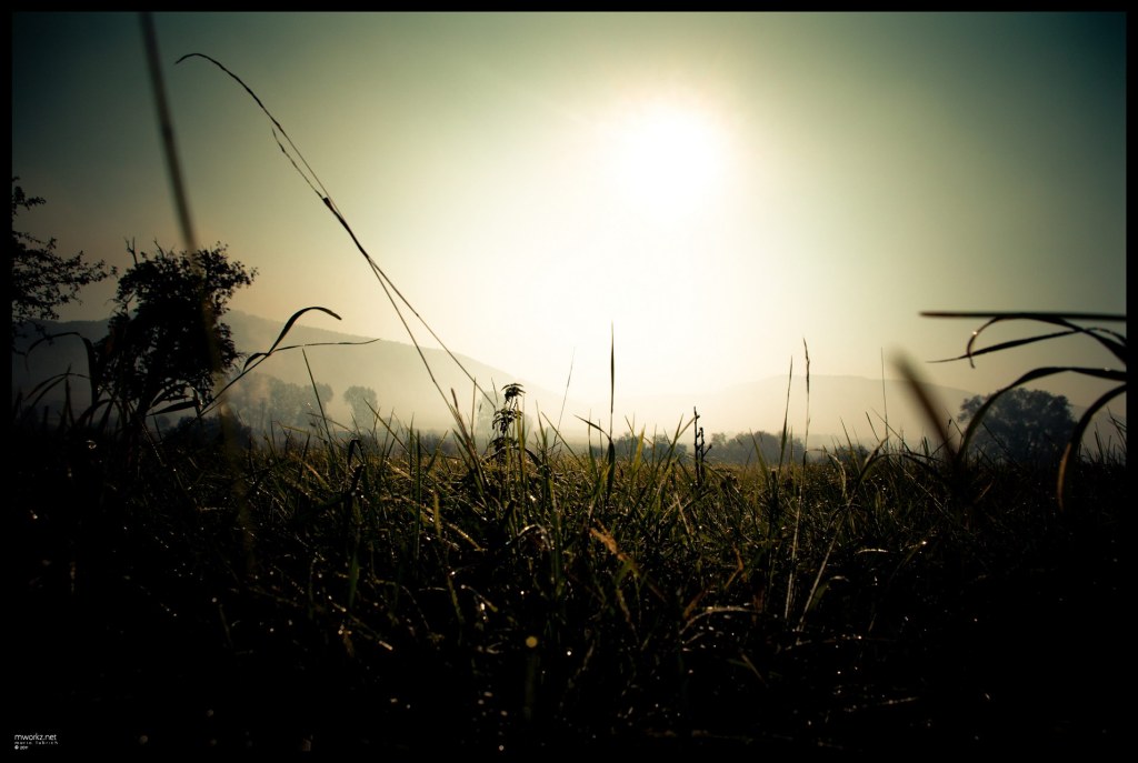 deep and dark - and the sun wears a mask of fog