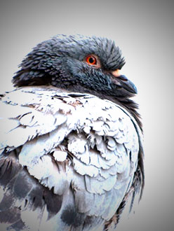 2050mal Hamburg oder: Wohin mit zu vielen&nbsp;Fotos?