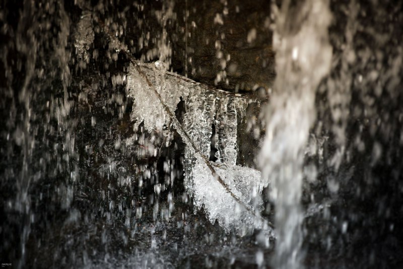 ice-ice-baby-001-online