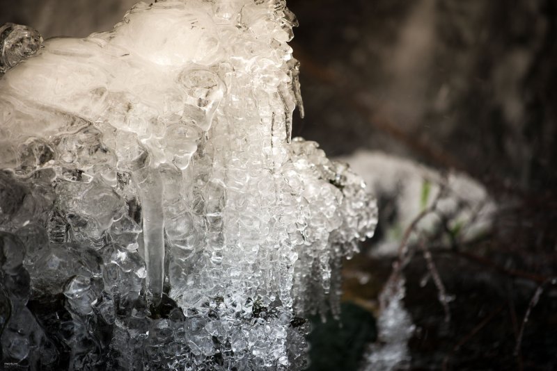 ice-ice-baby-002-online