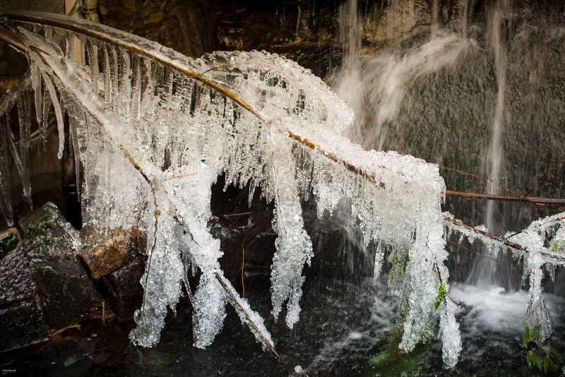 ice-ice-baby-003-online