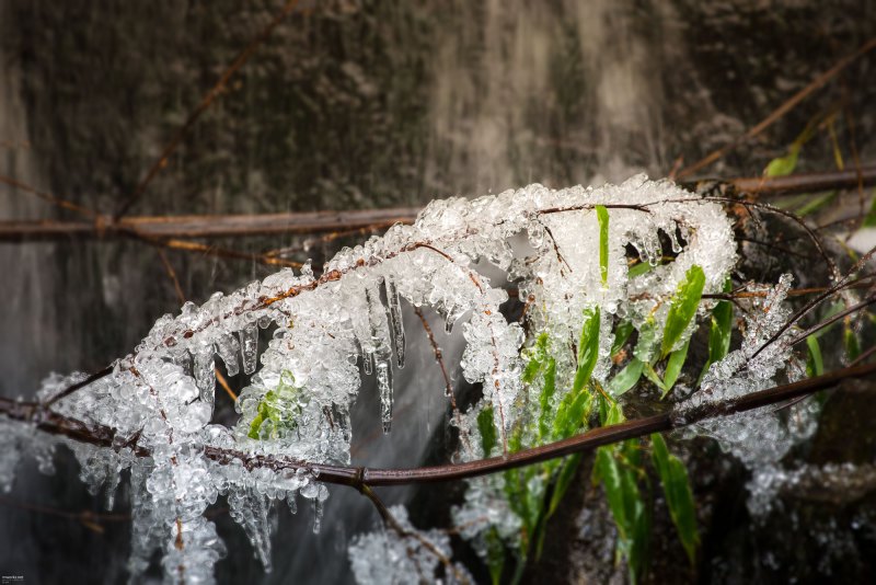 ice-ice-baby-004-online