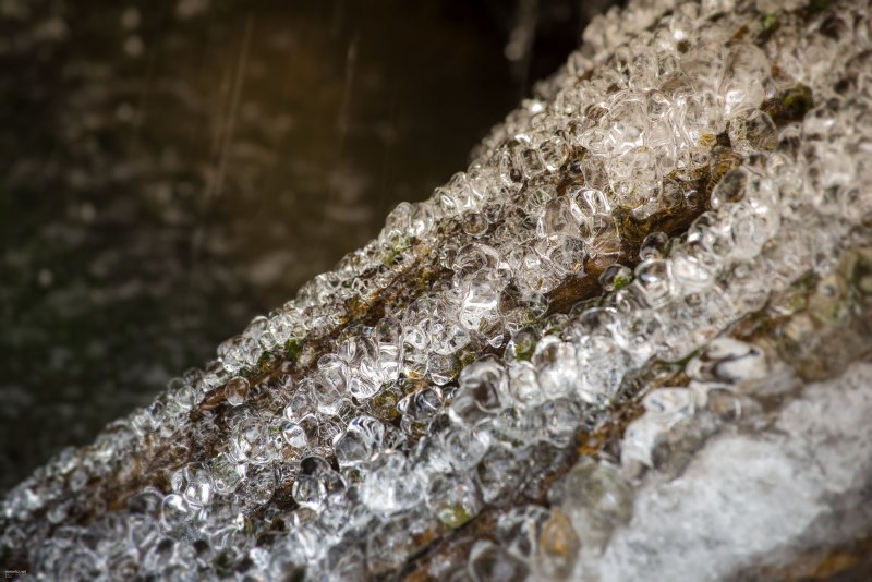 ice-ice-baby-005-online