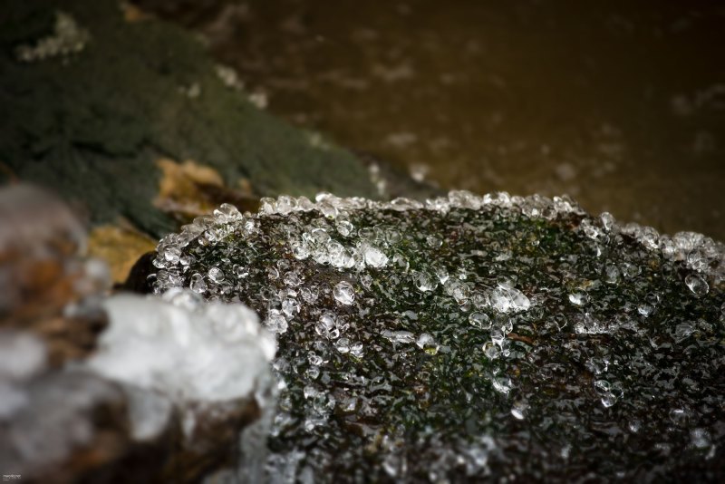 ice-ice-baby-006-online