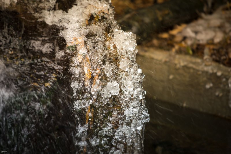 ice-ice-baby-009-online