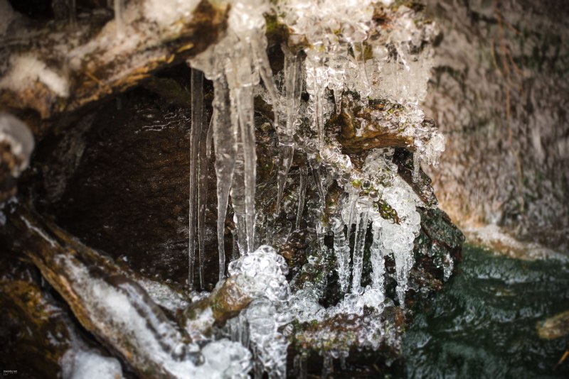 ice-ice-baby-010-online