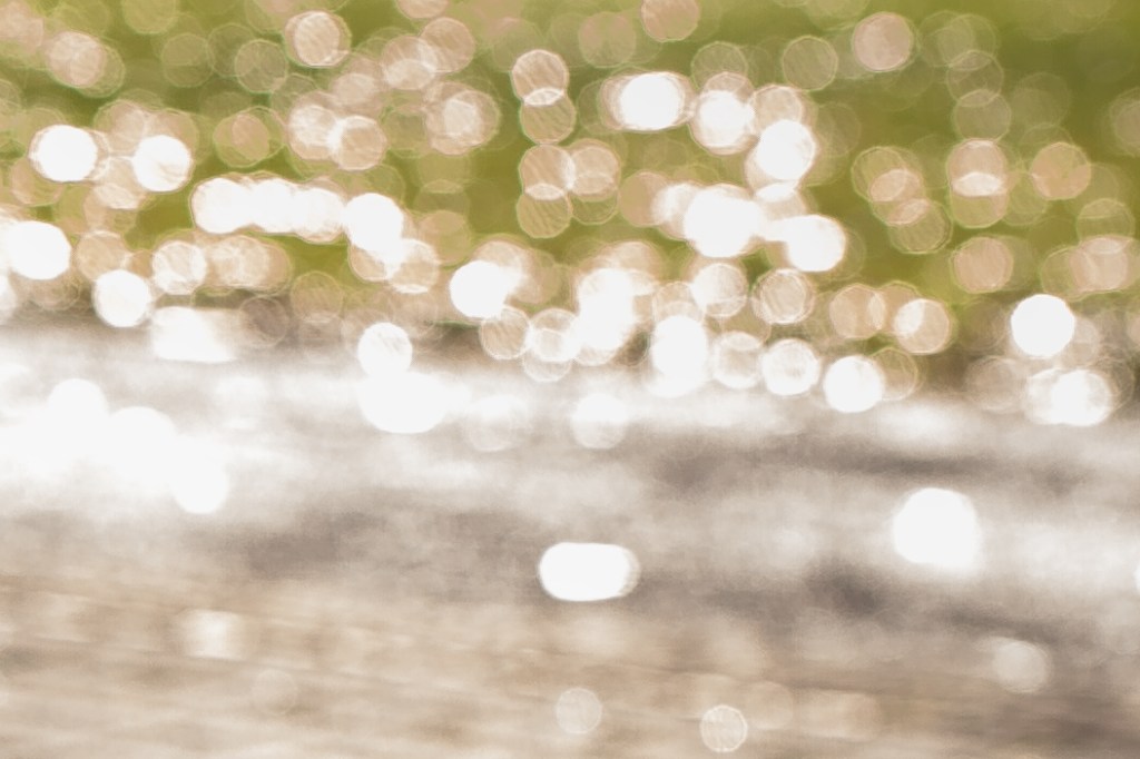 1/125 Sekunde bei f4, ISO 100, Belichtung reduziert, Detailvergrößerung