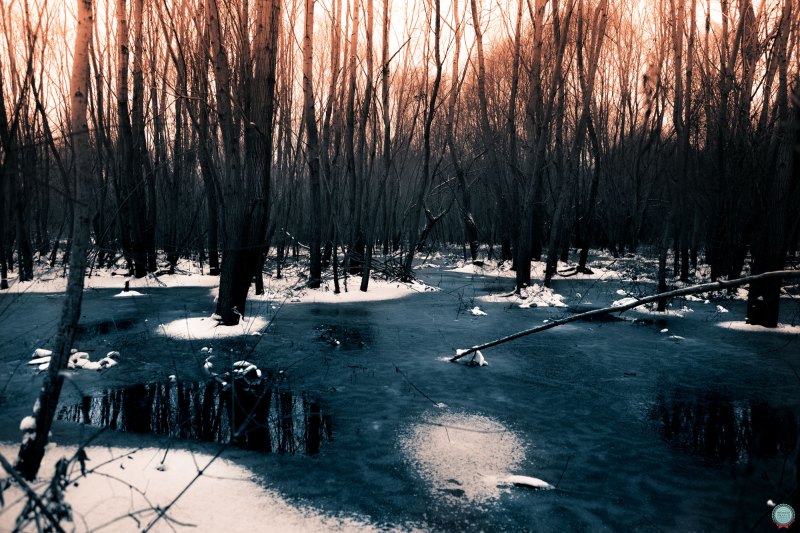 sundown-in-the-petrified-lands_001_online