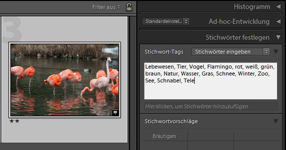 WSBM_teil04_screen005