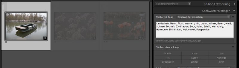WSBM_teil04_screen006