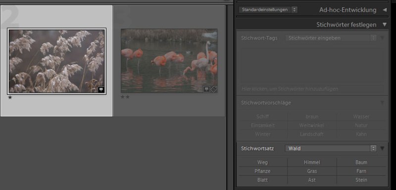 WSBM_teil04_screen009