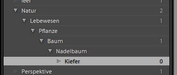 WSBM_teil04_screen011
