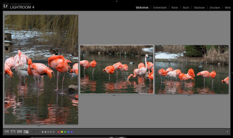 WSBM_teil05_screen005