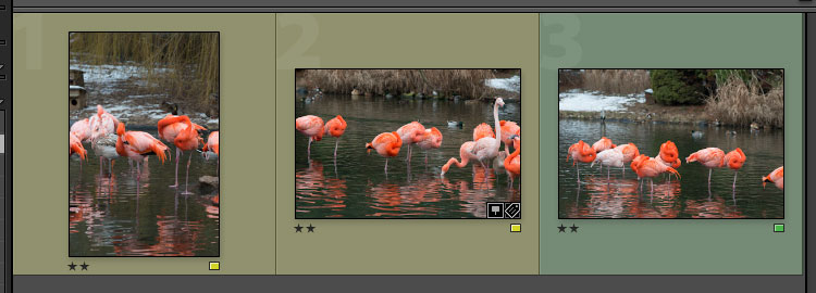 WSBM_teil05_screen006