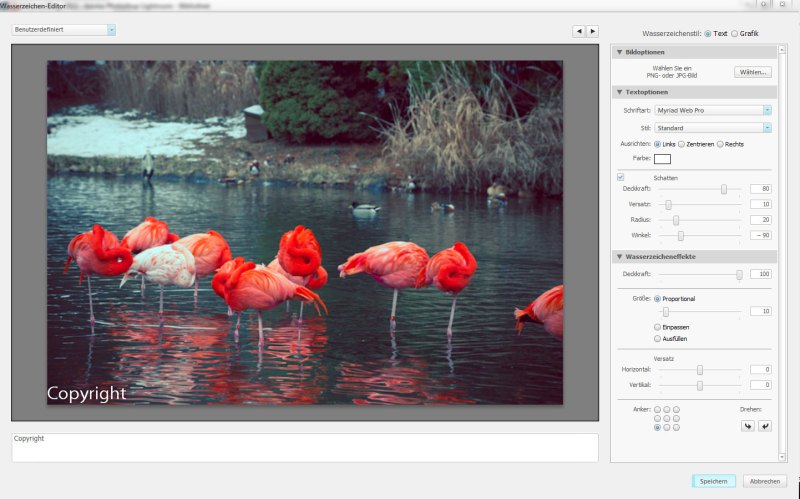 WSBM_teil05_screen009