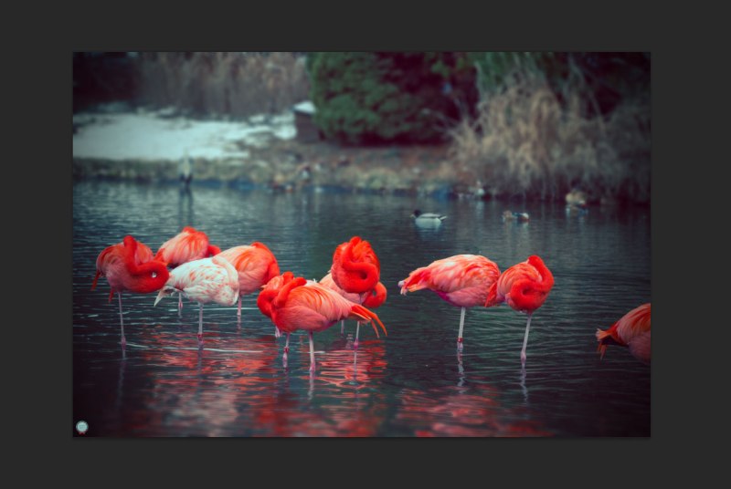 WSBM_teil06_screen003