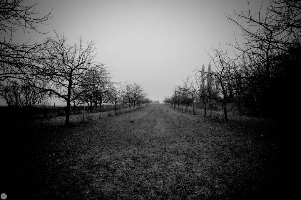 yesterday-the-land-was-dark_001_online