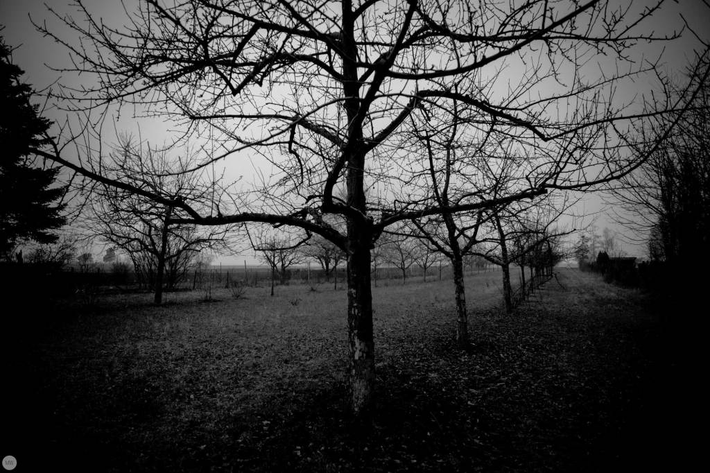 yesterday-the-land-was-dark_002_online