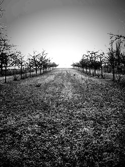 yesterday the land was&nbsp;dark