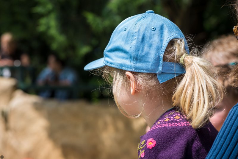 nikon-d800e-test01-001_online