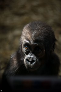 nikon-d800e-test01-010_online