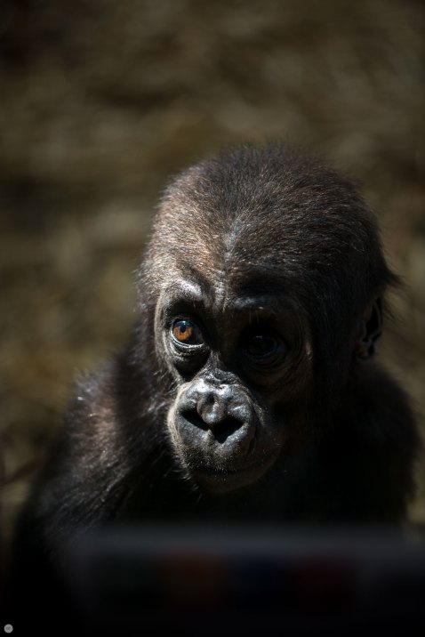 nikon-d800e-test01-010_online