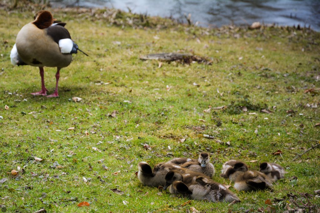 Osterbunny-2013-003_online