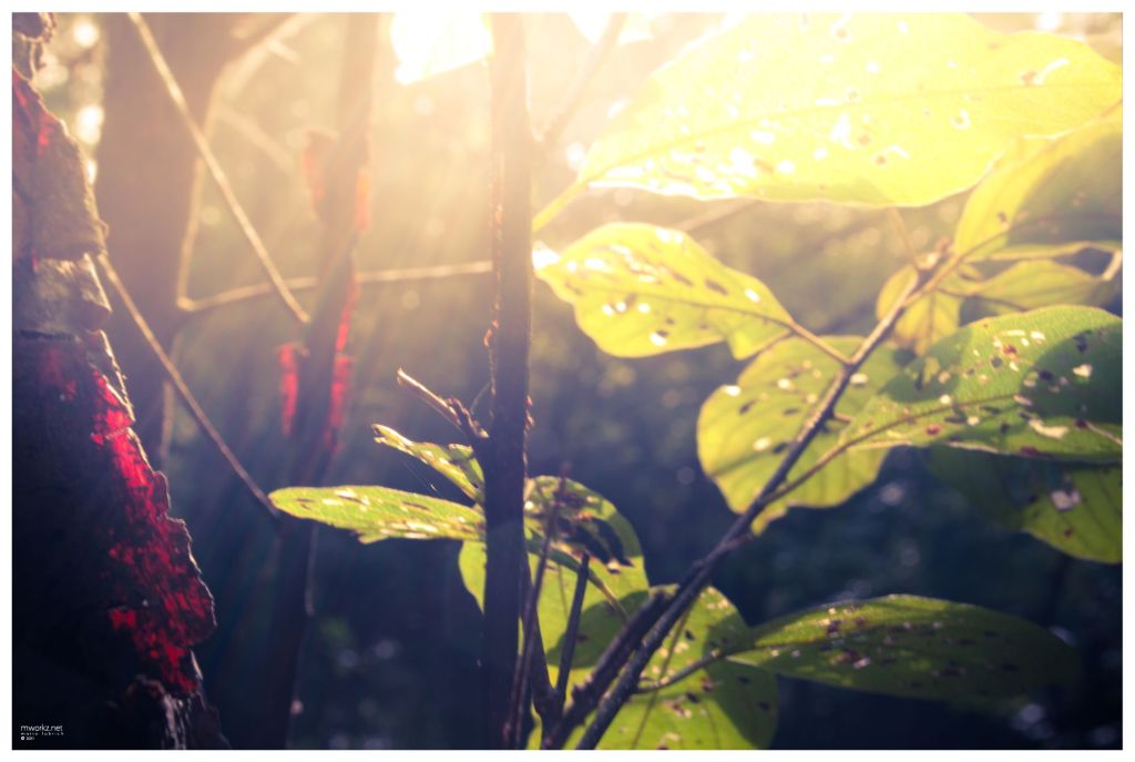 sparks-in-the-realm-of-twilight-010-final