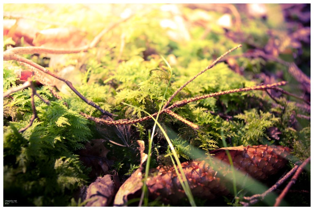 sparks-in-the-realm-of-twilight-017-final