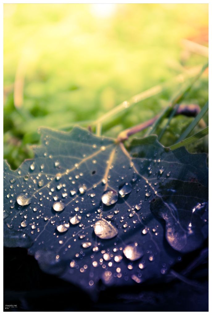 sparks-in-the-realm-of-twilight-018-final