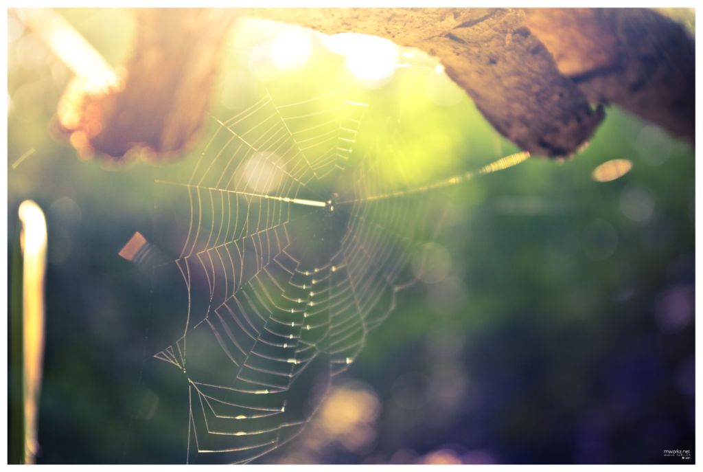 sparks-in-the-realm-of-twilight-020-final