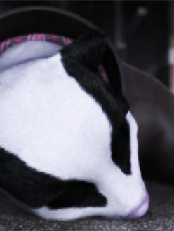 Film Noir et Blanc&nbsp;[KW19/2013]