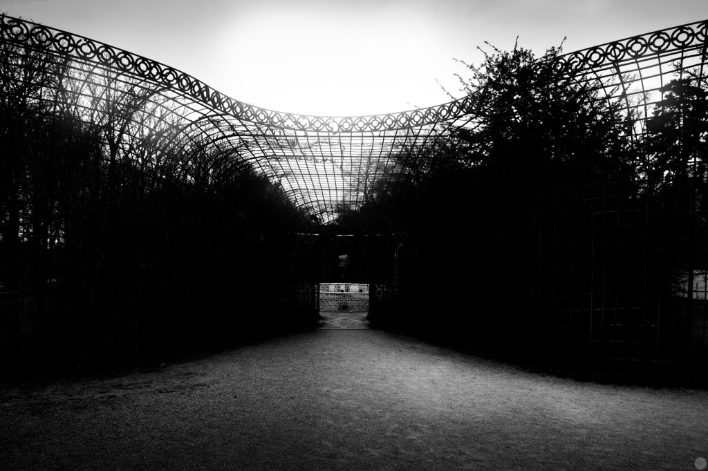 in-the-garden-between-shadows-and-the-sun_001_online