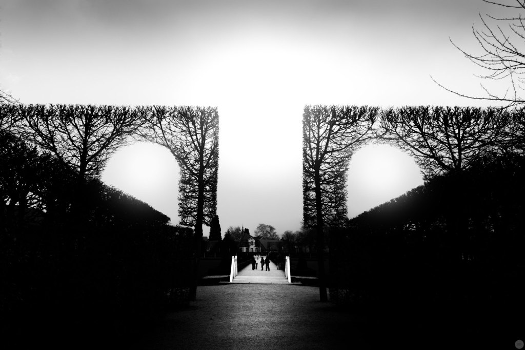 in-the-garden-between-shadows-and-the-sun_002_online