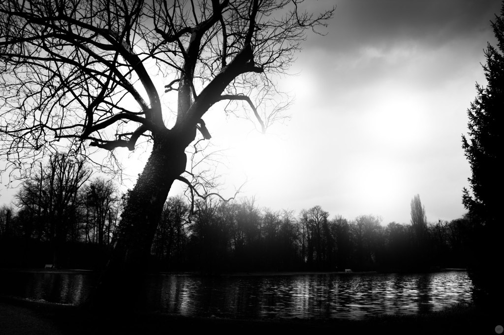 in-the-garden-between-shadows-and-the-sun_003_online