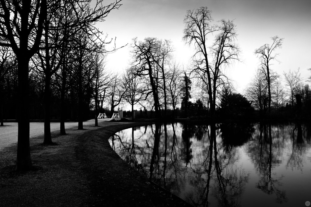 in-the-garden-between-shadows-and-the-sun_004_online