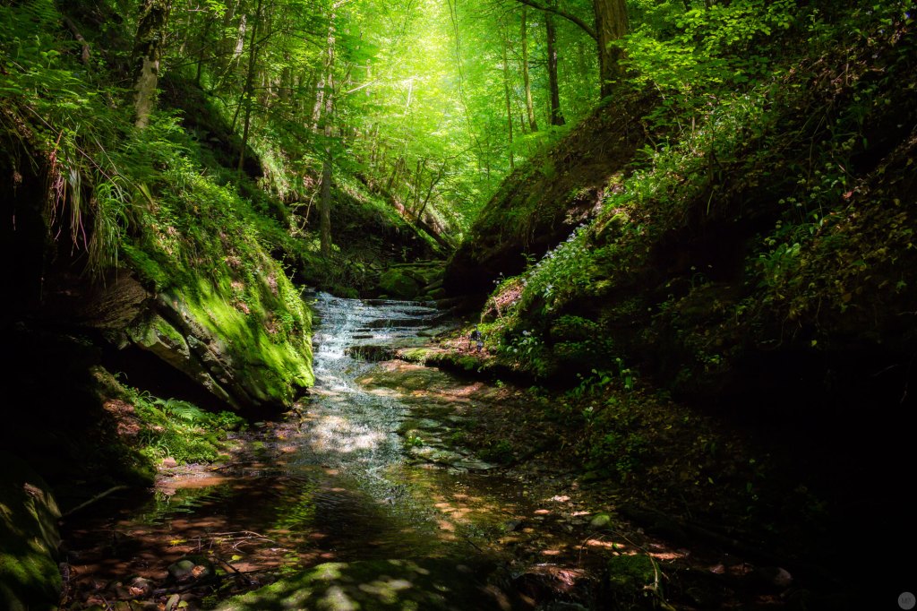 meeting-fairies_online