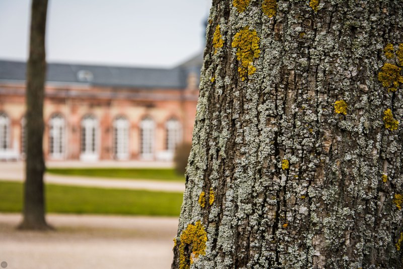 nikon-d7100_testfotos_001_online