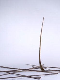 Tobias Hutzler – Balance&nbsp;[KW23/2013]