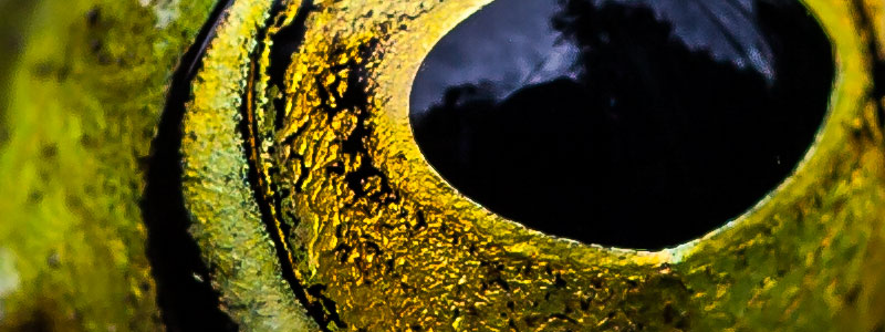 Was für irrsinnige Aufnahmen möglich sind, sieht man an diesem 100-Prozent-Ausschnitt. Keine Vergrößerung! Man sieht aber auch, wie extrem gering die Schärfentiefe ist.