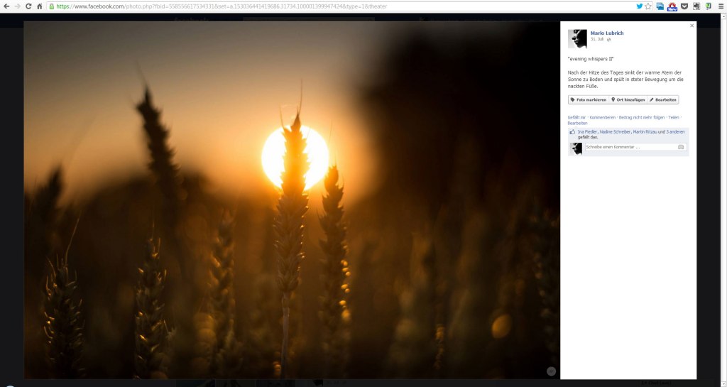 bilddarstellung_netzwerke_004