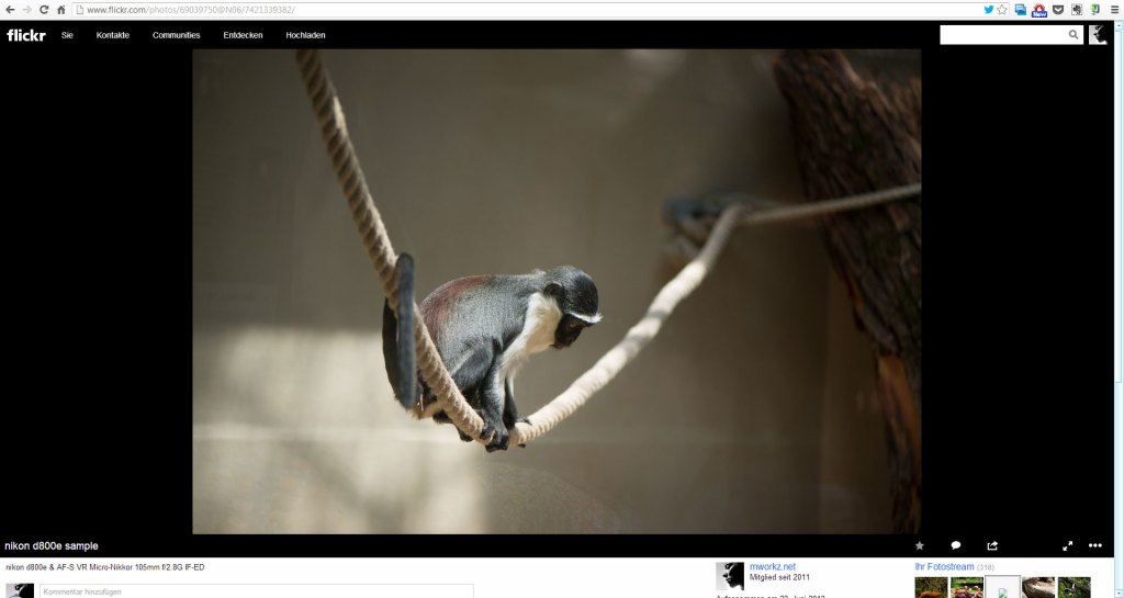 bilddarstellung_netzwerke_006