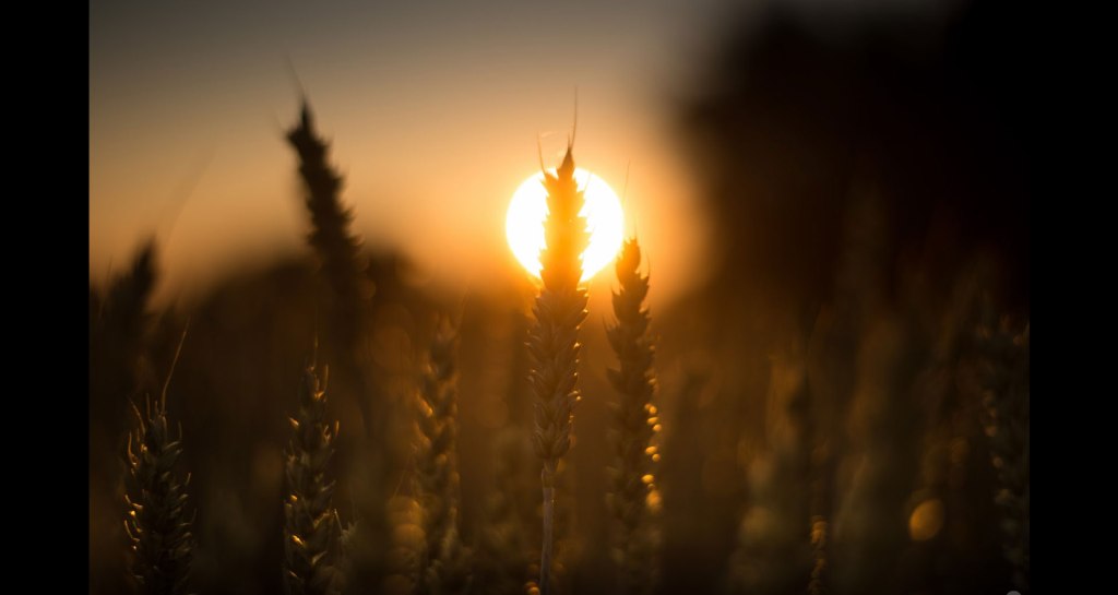 bilddarstellung_netzwerke_010