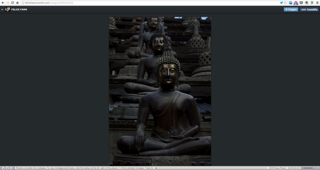 bilddarstellung_netzwerke_012