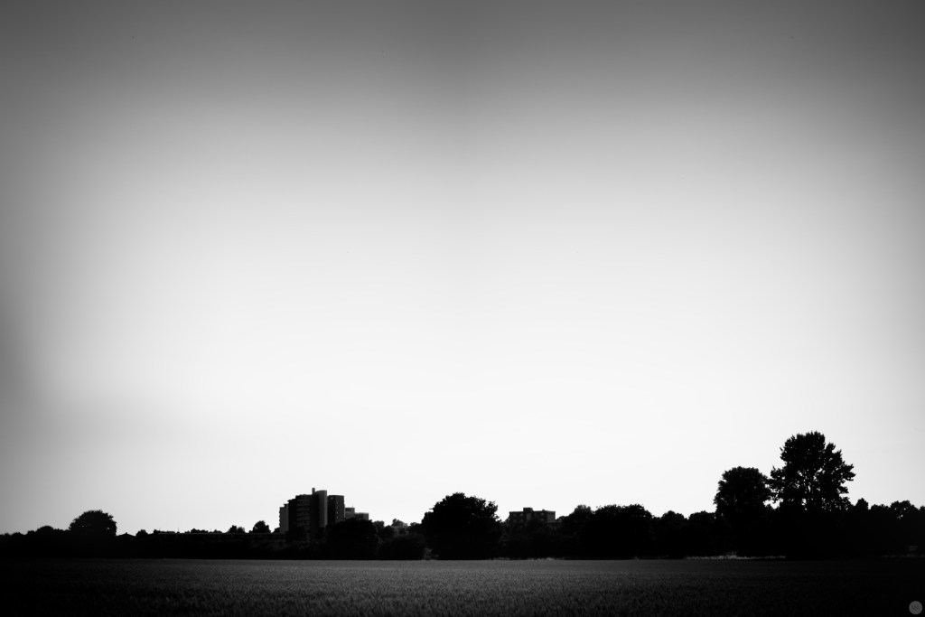 Nikon D800, Nikkor 1,8/50mm, ISO100, F1,8, 1/8.000