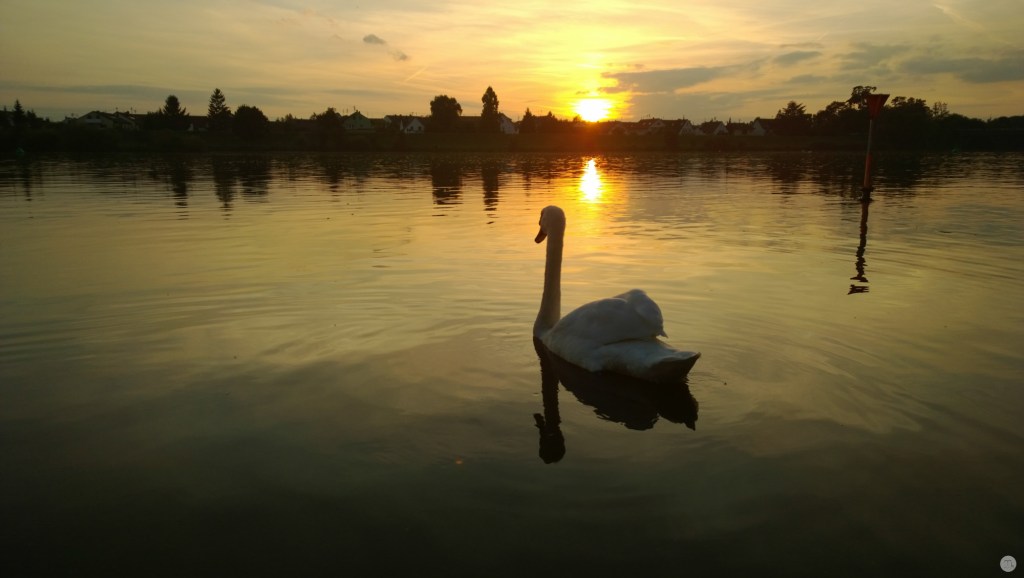 Testfotos - Nokia Lumia 1020